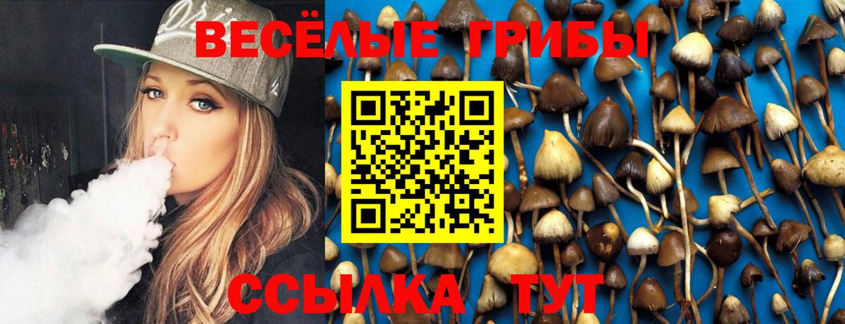 Псилоцибиновые грибы Psilocybine cubensis  Псилоцибиновые грибы Cubensis  Вход с VPN  Мыски 