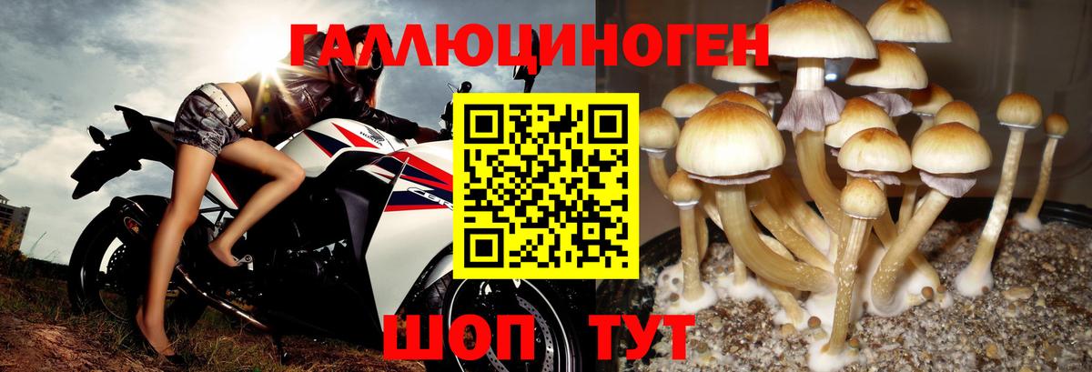 Галлюциногенные грибы ЛСД Мыски