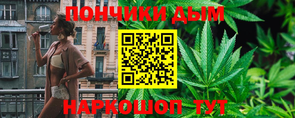 Бошки Шишки планчик Мыски